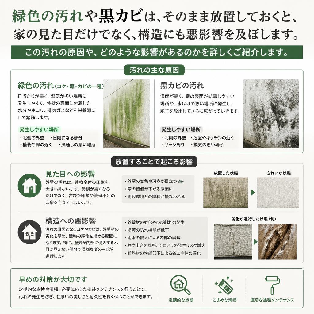 緑色汚れ・黒カビの正体とは？